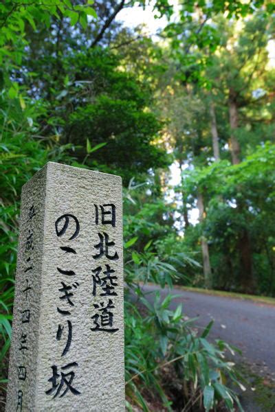 八掛梅|浄土真宗開祖親鸞聖人御旧跡めぐり